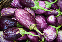 Aubergines